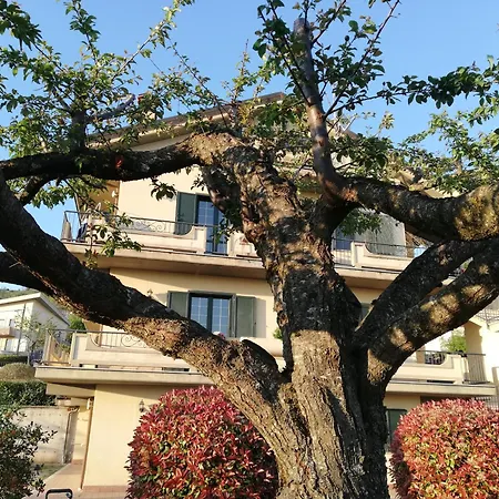 Appartamento Marta Fiuggi